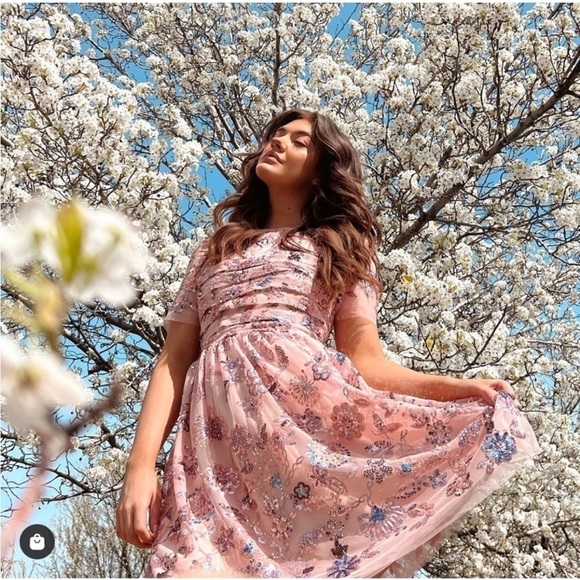 New Rachel Parcell Embroidered Tulle Dress Sequin Sparkle Romantic Party Sz 12 - Picture 6 of 17